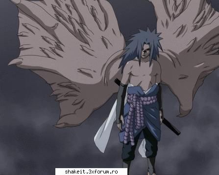 14 sasukee!